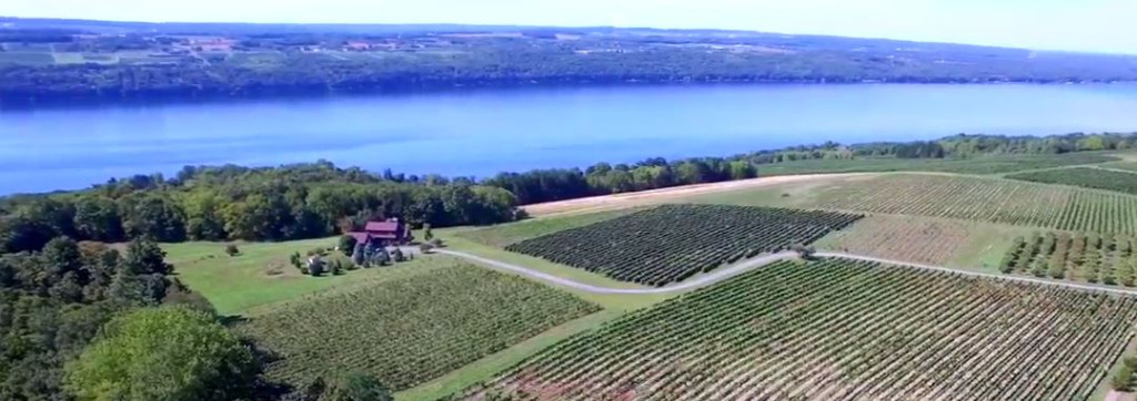 aerial vineyard view of Tango Oaks Finger Lakes Riesling Vista of Tango Oaks Vineyard
