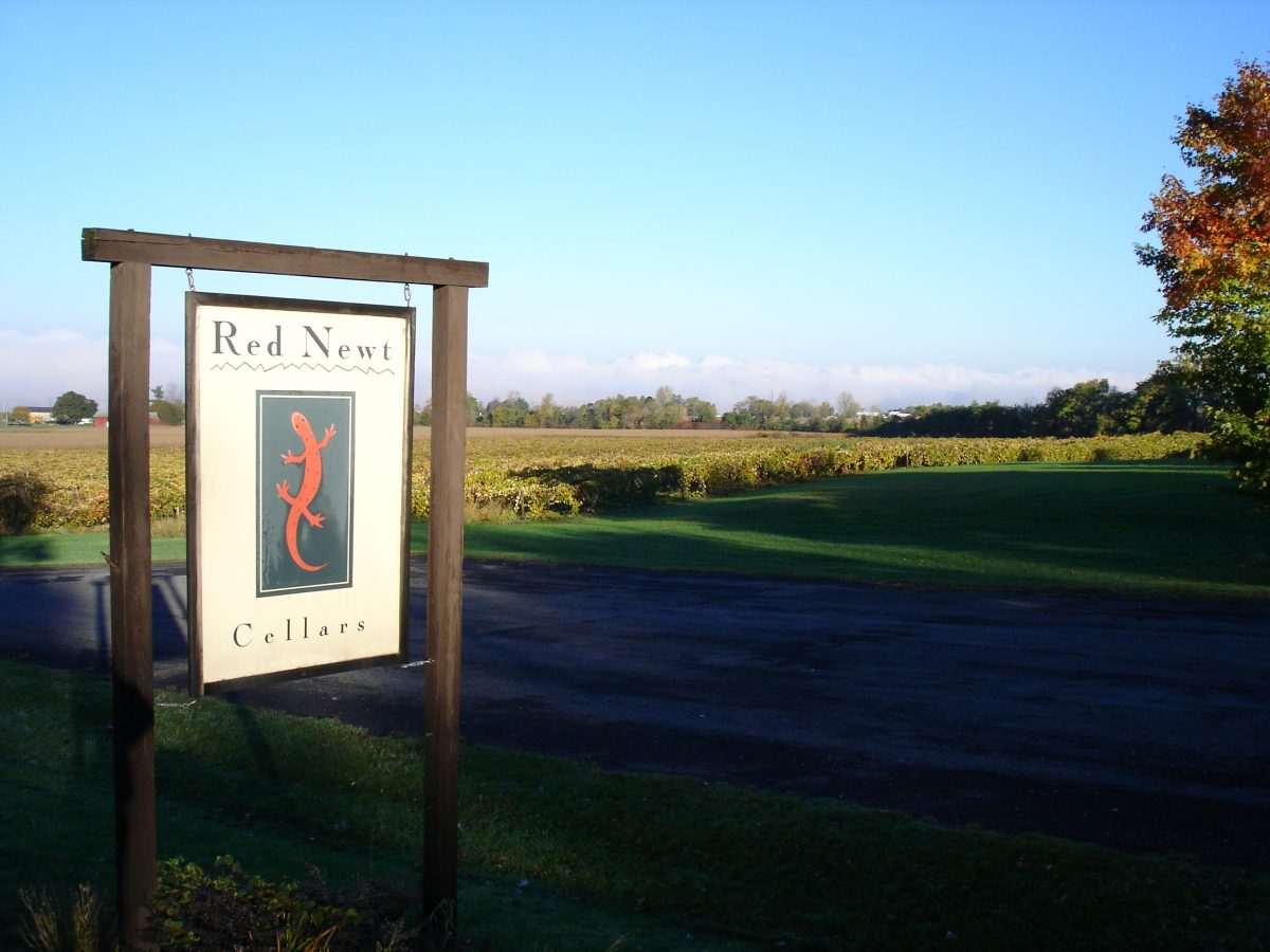 red newt sign