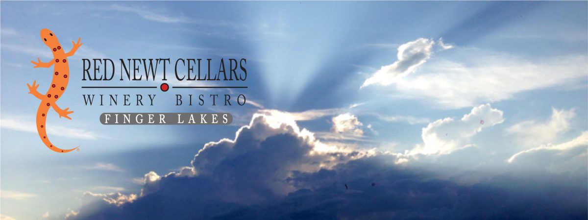 blue sky with logo