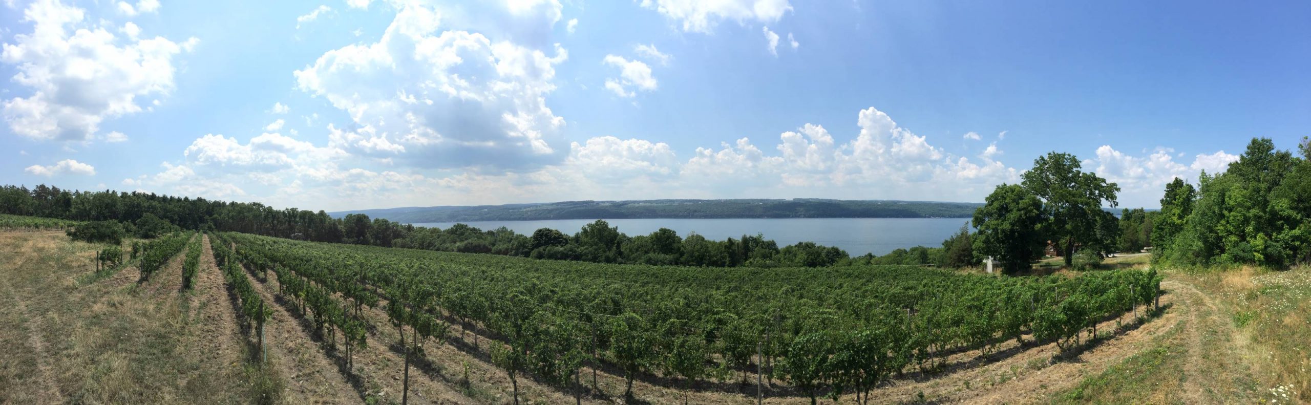 glacier ridge pano