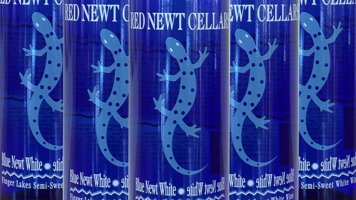 All About Blue Newt White