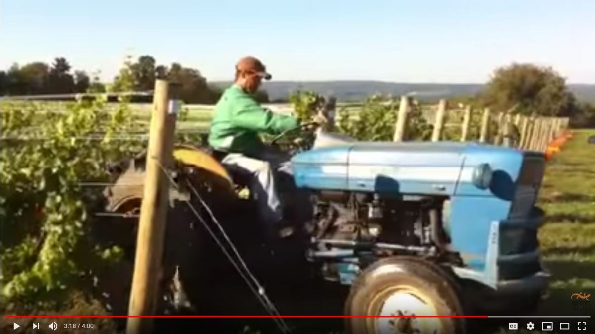 tractor in vineyard