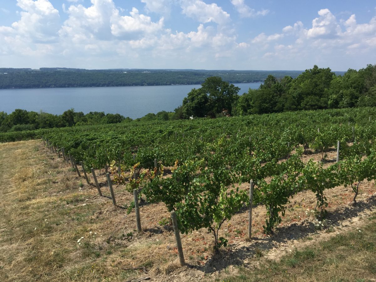 Getting to Know Glacier Ridge