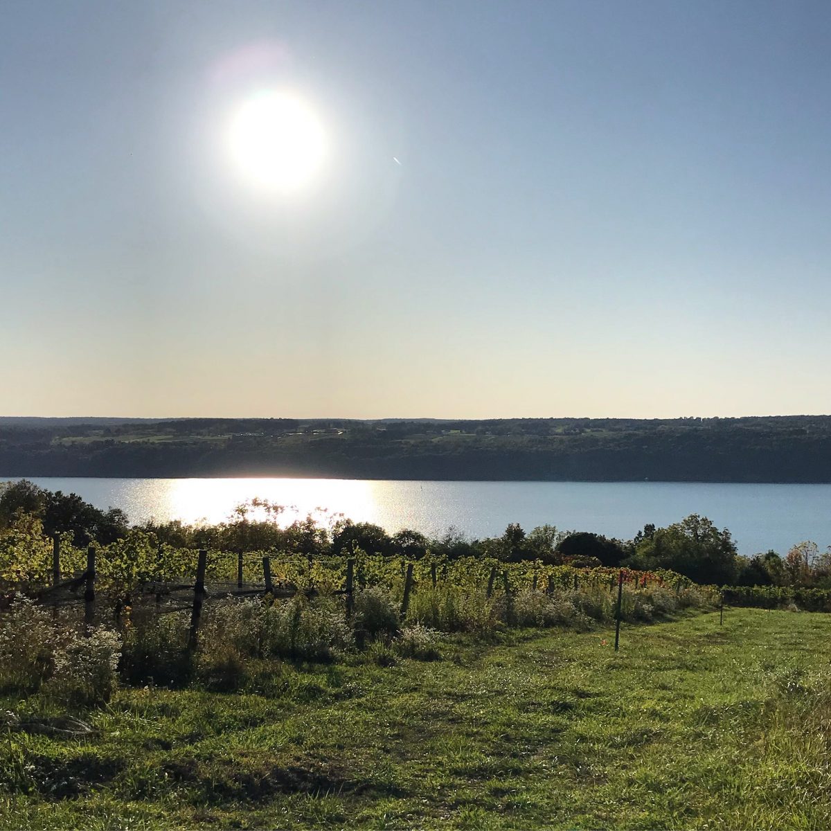 Glacier Ridge Sun on Lake