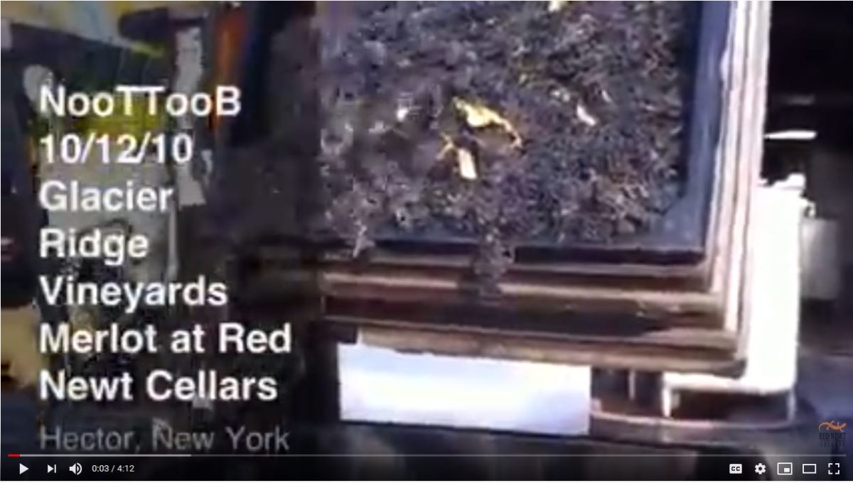 video thumbnail merlot