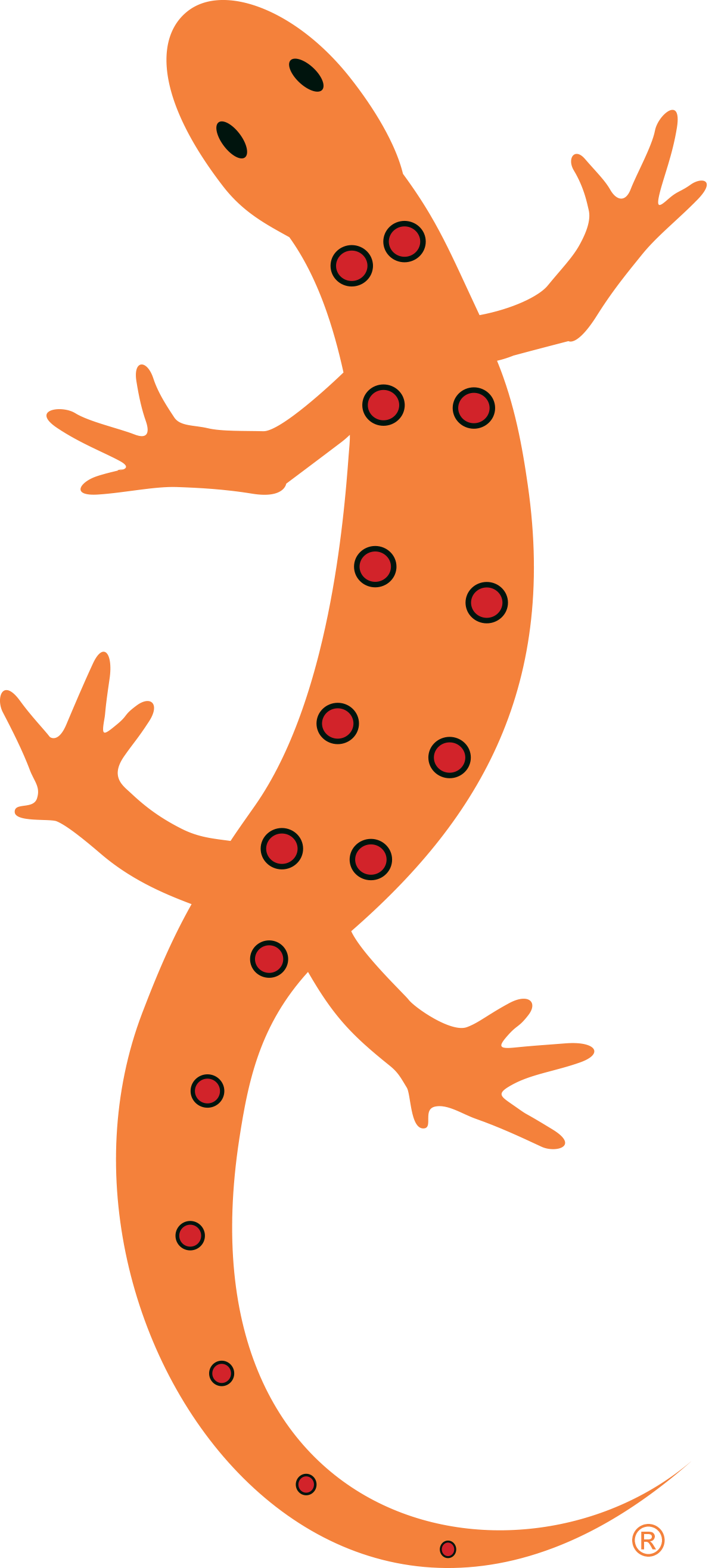 newt logo