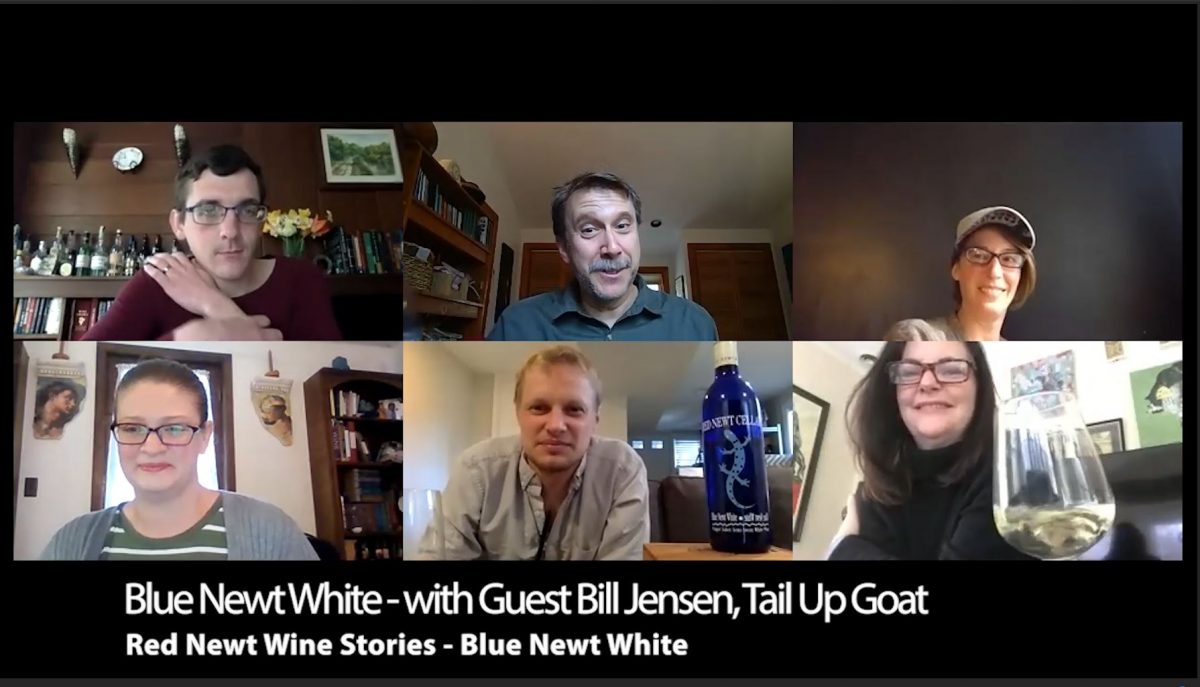 blue newt white screen shot