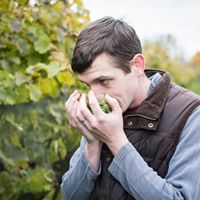 Kelby in vineyard