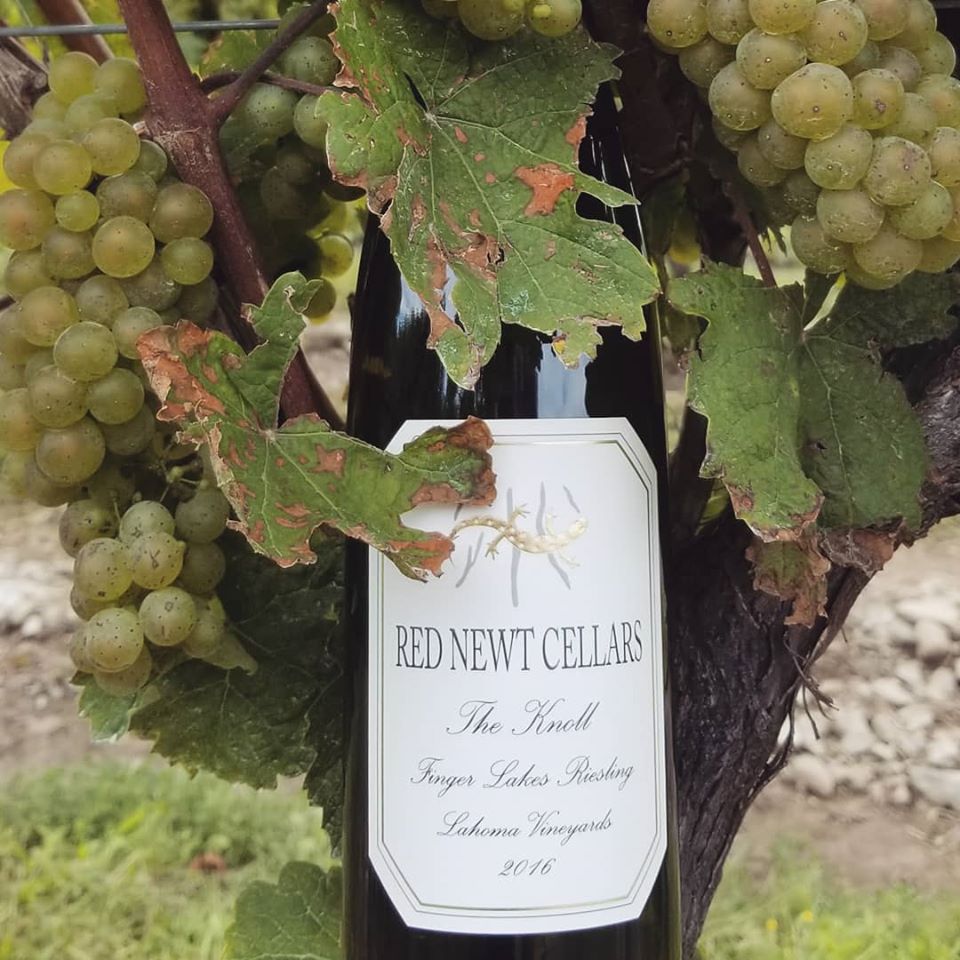 Our Passion, Our Story Red Newt Cellars