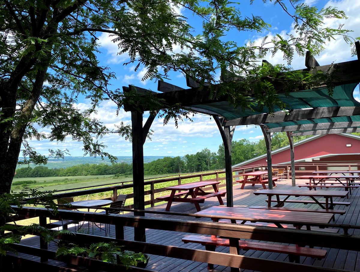 winery deck from south