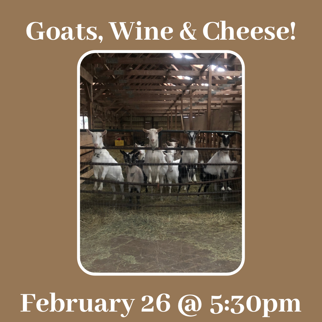 Goats, Tadpoles and Cheese