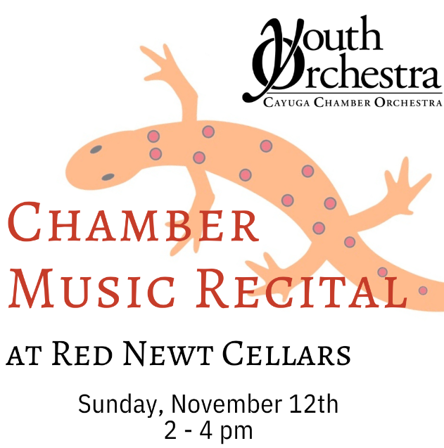 chamber music recital at red newt cellars sunday, november 12, 2-4pm